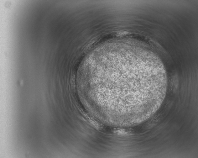 X0000080160565200612302156