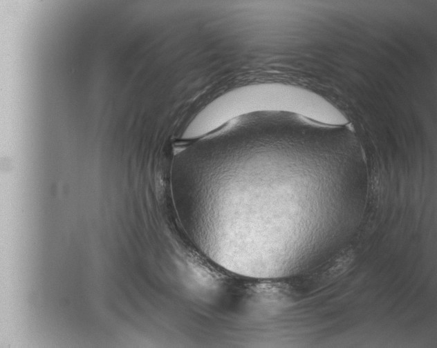 X0000080160566200612302156