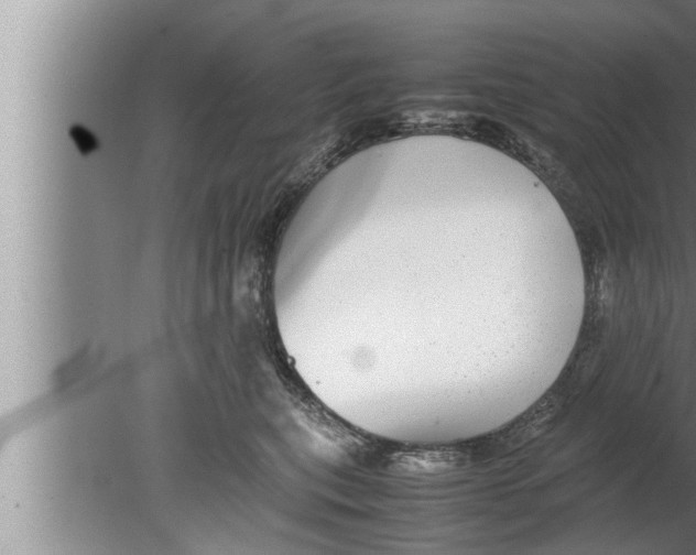 X0000080160567200612302156