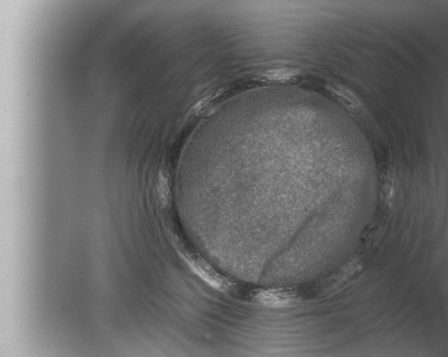 X0000080160568200612302156