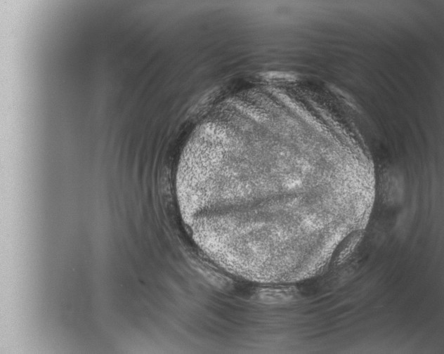 X0000080160571200612302156