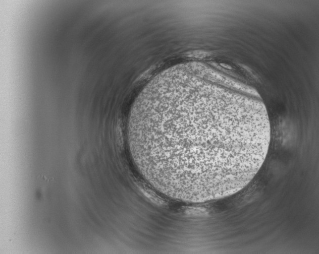 X0000080160572200612302156