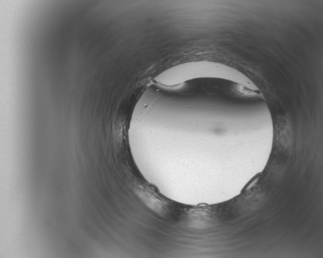 X0000080160574200612302156