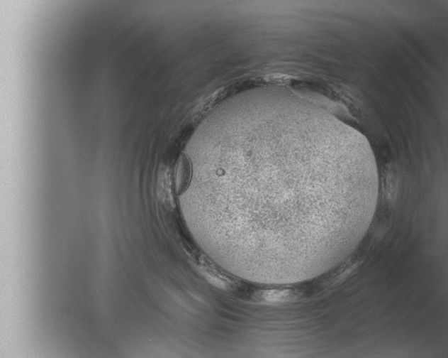 X0000080160575200612302156