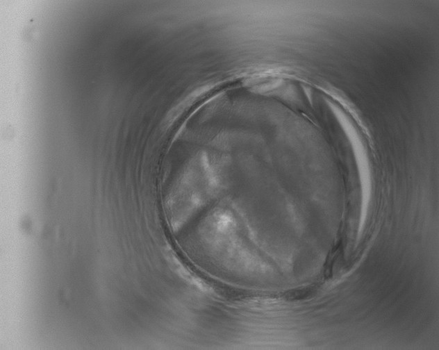 X0000080160577200612302156