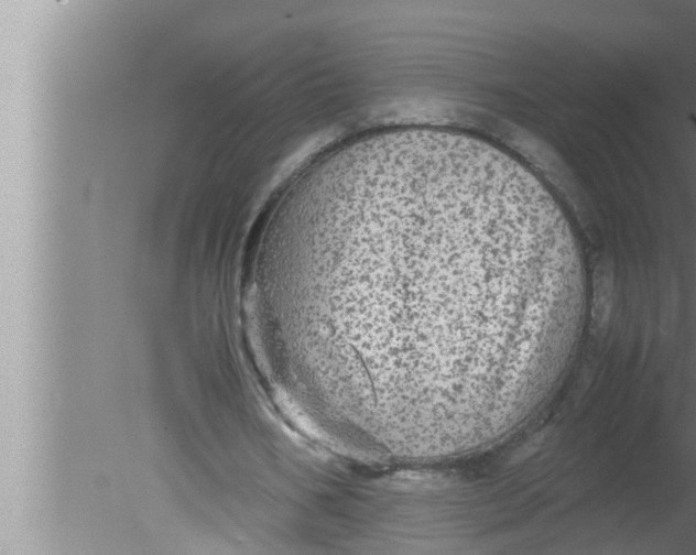 X0000080160578200612302156