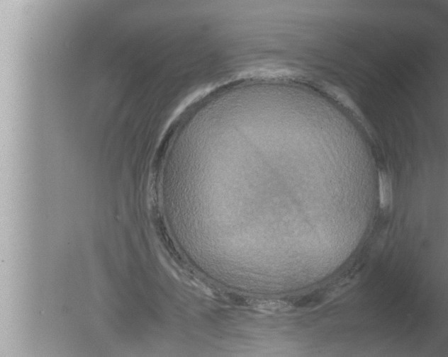 X0000080160579200612302156