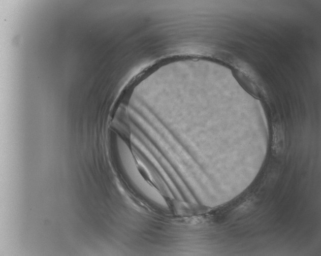 X0000080160580200612302156