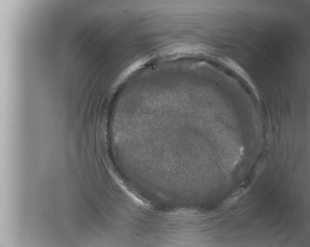 X0000080160581200612302156