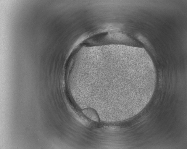 X0000080160582200612302156