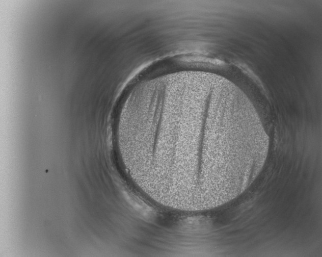 X0000080160584200612302156