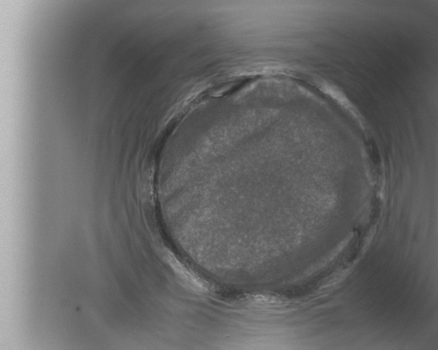 X0000080160585200612302156