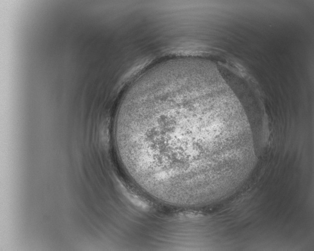 X0000080160586200612302156