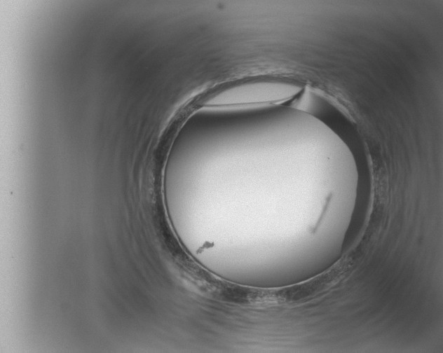 X0000080160587200612302155