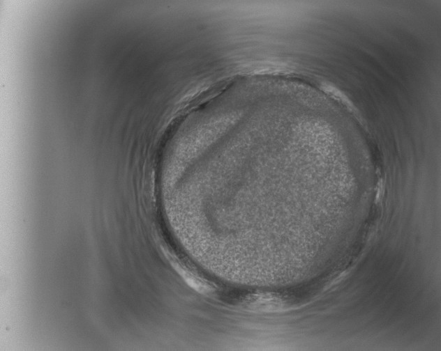 X0000080160589200612302155