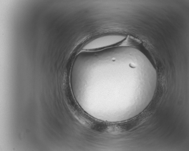 X0000080160591200612302155