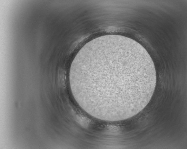 X0000080160592200612302155