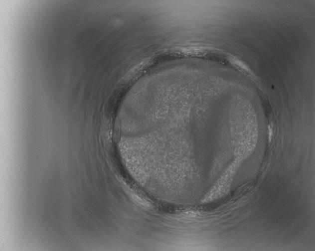 X0000080160593200612302155