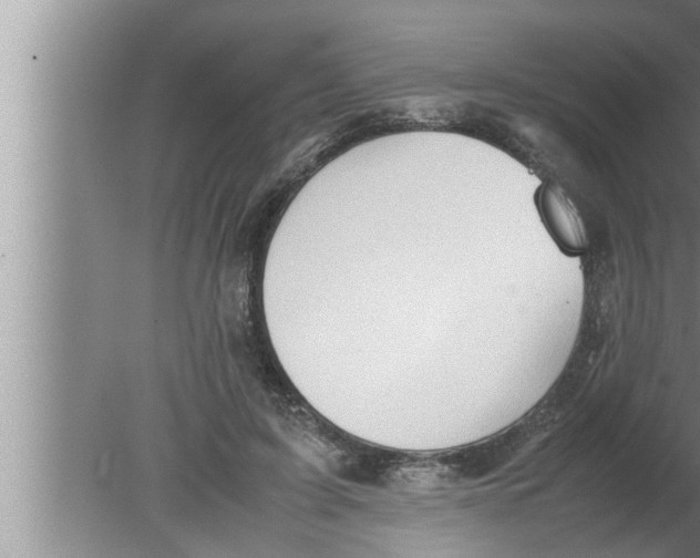 X0000080160595200612302155