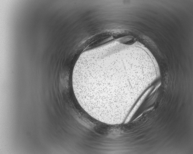 X0000080160596200612302155