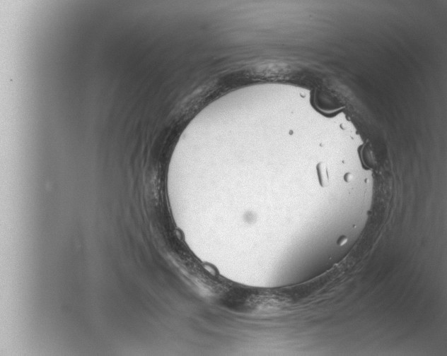 X0000080160597200612302155