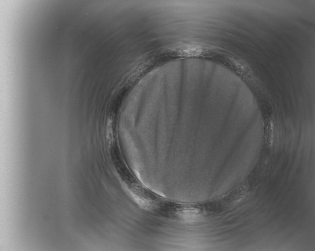 X0000080160598200612302155