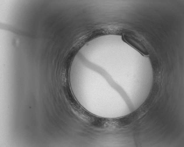 X0000080160599200612302155