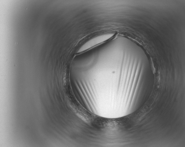 X0000080160600200612302155