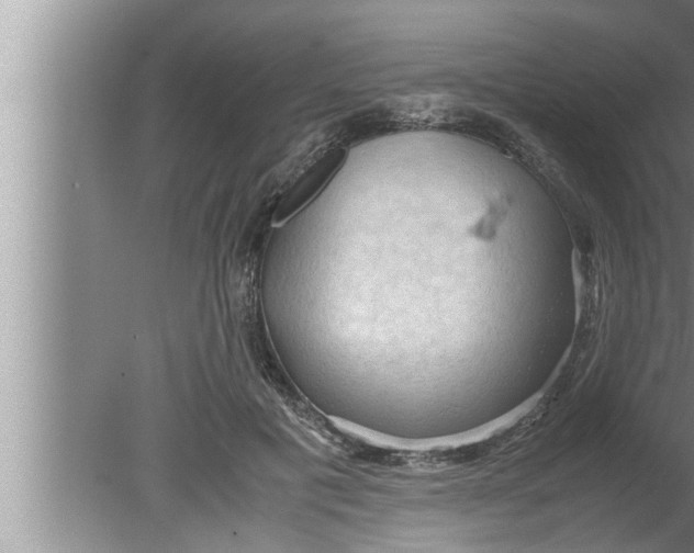 X0000080160601200612302155