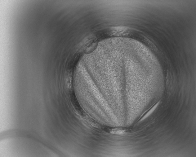 X0000080160602200612302155