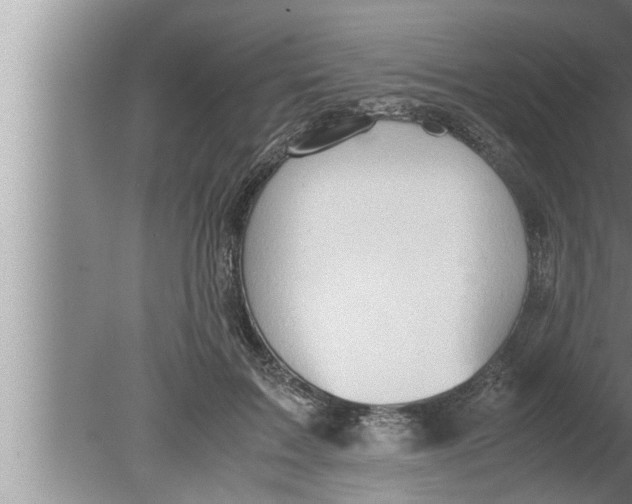 X0000080160603200612302155