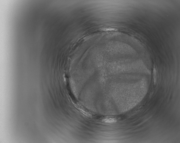 X0000080160604200612302155