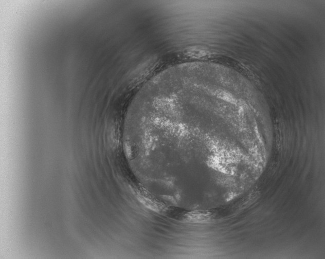 X0000080160606200612302155