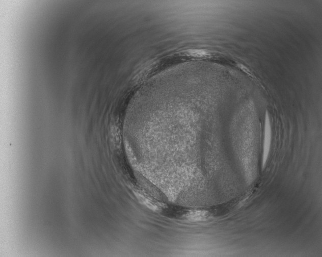 X0000080160609200612302155