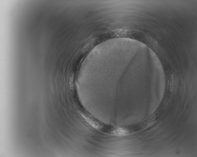 X0000080160610200612302155