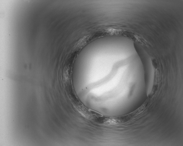 X0000080160611200612302155