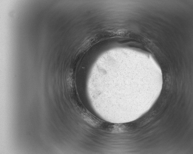 X0000080160612200612302155