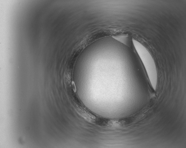 X0000080160613200612302155