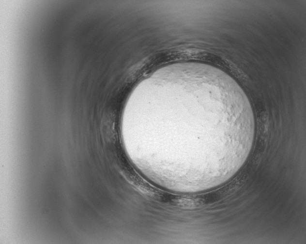 X0000080160615200612302155