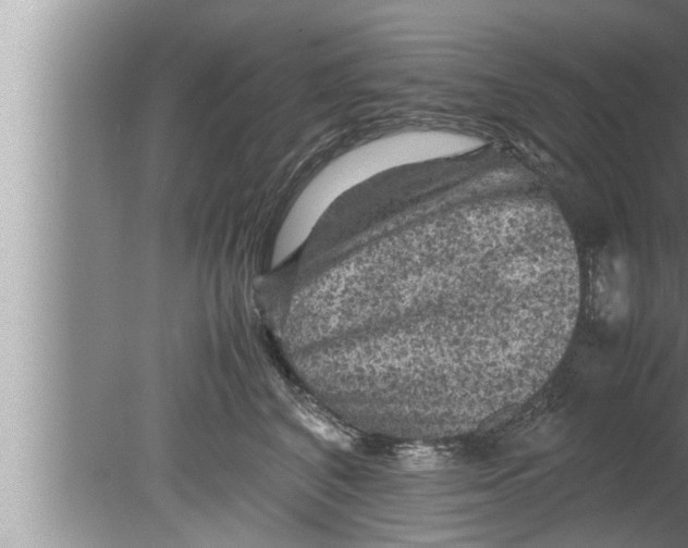 X0000080160616200612302155