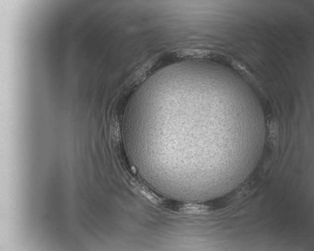 X0000080160617200612302155