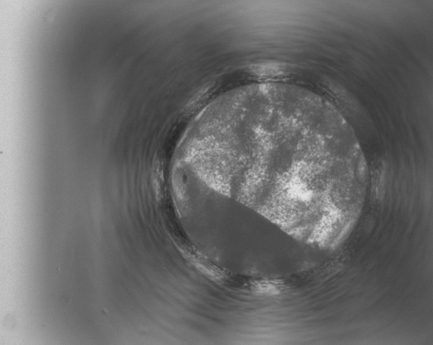 X0000080160618200612302155