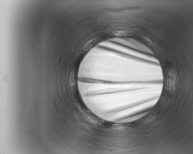 X0000080160620200612302155