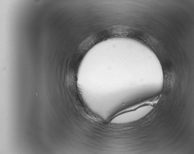 X0000080160623200612302155