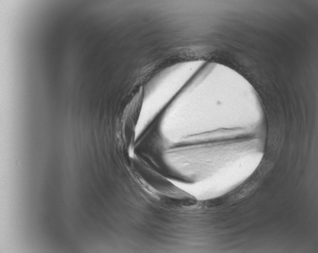 X0000080160624200612302155