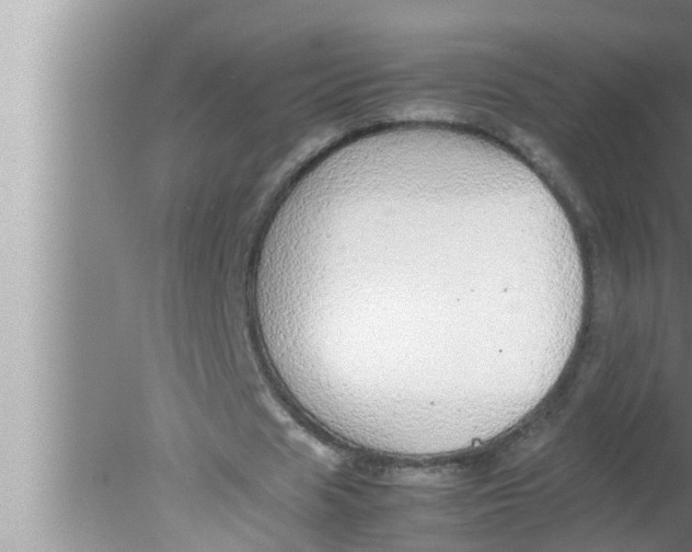 X0000080160625200612302154