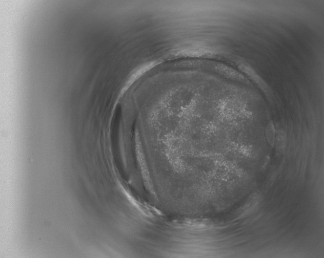 X0000080160626200612302154