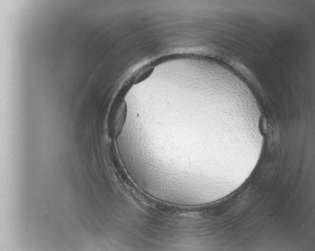 X0000080160628200612302154