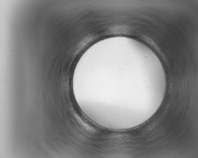 X0000080160629200612302154