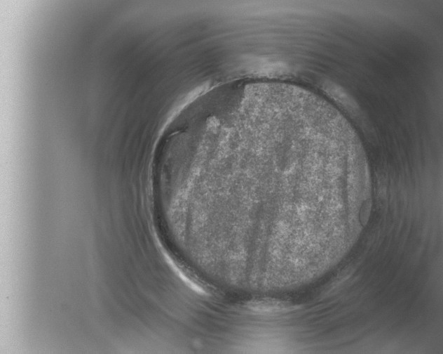 X0000080160630200612302154